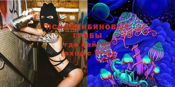 дмт Абинск