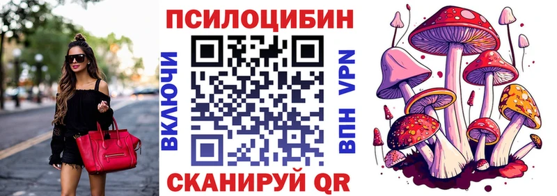 kraken tor  что такое   Узловая  Псилоцибиновые грибы мицелий 