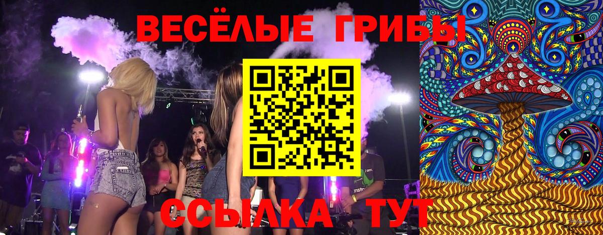 Узловая  Галлюциногенные грибы прущие грибы  Вход с VPN 